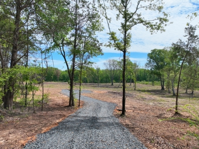 Homesite location with acreage - image 2