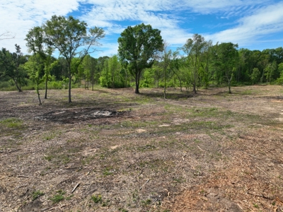 Homesite location with acreage - image 5