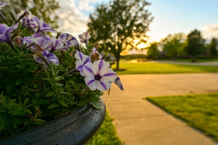 Home for Sale Lamar, Missouri, Barton County - image 48