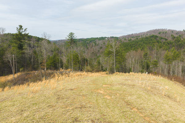 Acreage for Sale in Grayson County