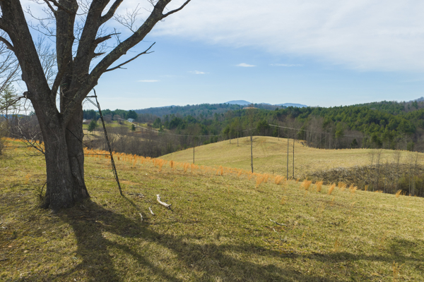 Acreage for Sale in Grayson County