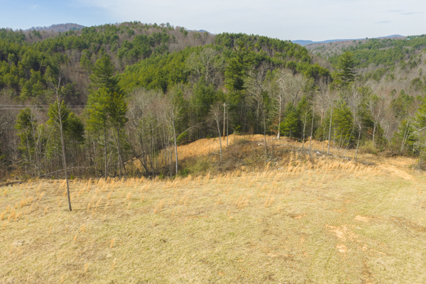 Acreage for Sale in Grayson County