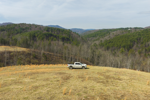 Acreage for Sale in Grayson County