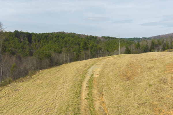 Acreage for Sale in Grayson County