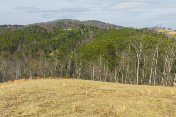 Acreage for Sale in Grayson County