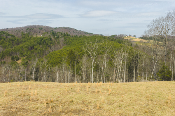 Acreage for Sale in Grayson County