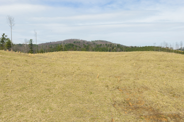 Acreage for Sale in Grayson County