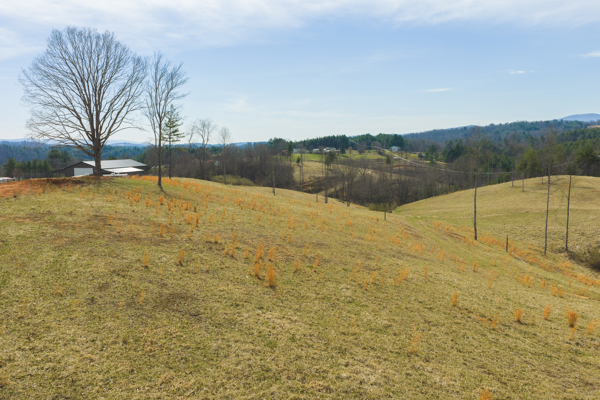 Acreage for Sale in Grayson County