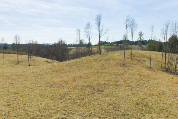 Acreage for Sale in Grayson County