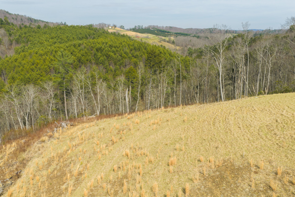Acreage for Sale in Grayson County