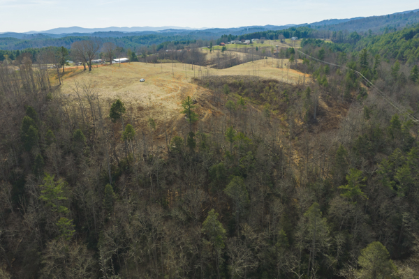 Acreage for Sale in Grayson County