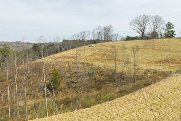 Acreage for Sale in Grayson County