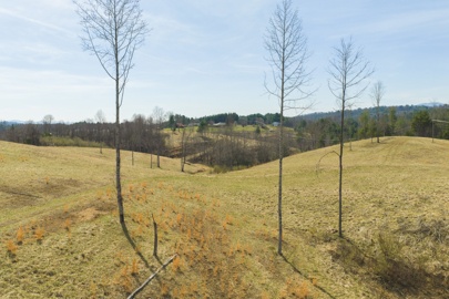 Listing 16