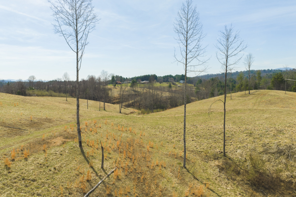 Acreage for Sale in Grayson County