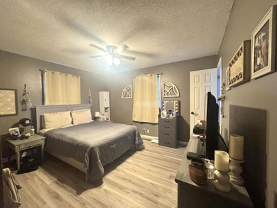 Charming, Updated Ranch in a Desirable Neighborhood! - image 15