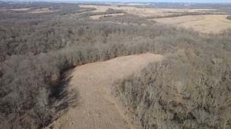Premier 120-Acre Sportsman’s Paradise – Decatur County, Iowa - image 8