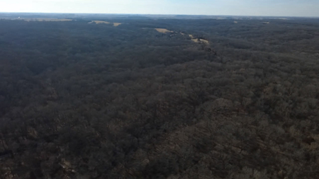 Premier 120-Acre Sportsman’s Paradise – Decatur County, Iowa - image 5