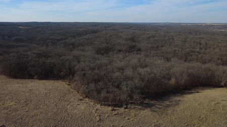 Premier 120-Acre Sportsman’s Paradise – Decatur County, Iowa - image 2