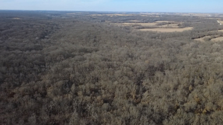 Premier 120-Acre Sportsman’s Paradise – Decatur County, Iowa - image 6