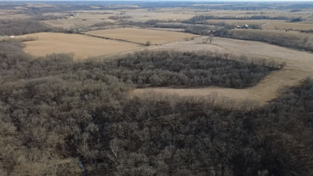 Premier 120-Acre Sportsman’s Paradise – Decatur County, Iowa - image 4