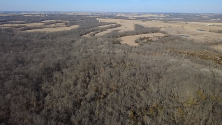 Premier 120-Acre Sportsman’s Paradise – Decatur County, Iowa - image 1