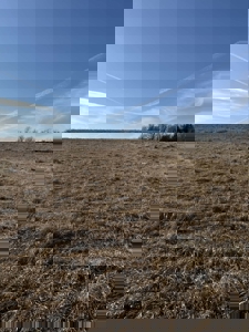 Premier 120-Acre Sportsman’s Paradise – Decatur County, Iowa - image 16