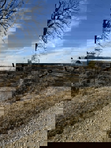 Premier 120-Acre Sportsman’s Paradise – Decatur County, Iowa - image 19