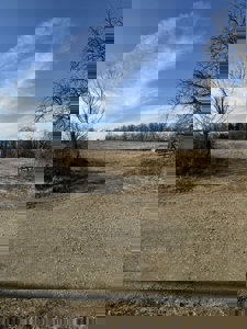 Premier 120-Acre Sportsman’s Paradise – Decatur County, Iowa - image 18