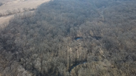 Premier 120-Acre Sportsman’s Paradise – Decatur County, Iowa - image 11