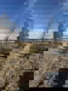 Premier 120-Acre Sportsman’s Paradise – Decatur County, Iowa - image 22