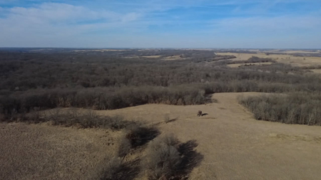 Premier 120-Acre Sportsman’s Paradise – Decatur County, Iowa - image 9
