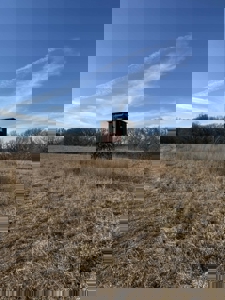 Premier 120-Acre Sportsman’s Paradise – Decatur County, Iowa - image 13