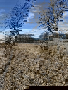 Premier 120-Acre Sportsman’s Paradise – Decatur County, Iowa - image 17