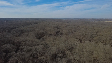 Premier 120-Acre Sportsman’s Paradise – Decatur County, Iowa - image 3
