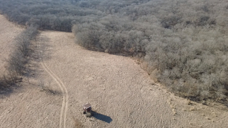 Premier 120-Acre Sportsman’s Paradise – Decatur County, Iowa - image 12