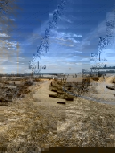 Premier 120-Acre Sportsman’s Paradise – Decatur County, Iowa - image 20