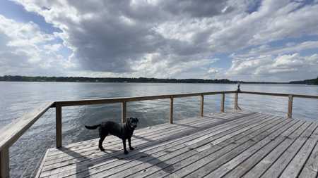 Completely Remodeled Lakefront Home in Lone Star Texas - image 28