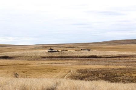 Malcolm Creek Farm | Sheridan County, Montana - image 43