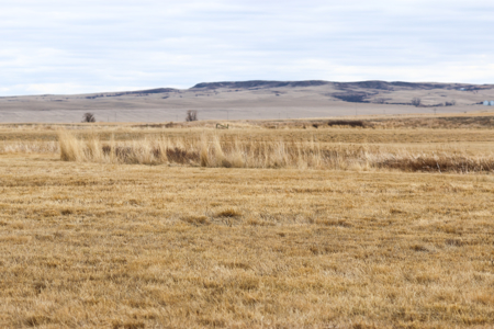 Malcolm Creek Farm | Sheridan County, Montana - image 45