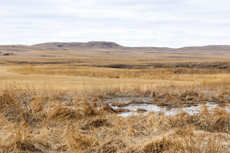 Malcolm Creek Farm | Sheridan County, Montana - image 32