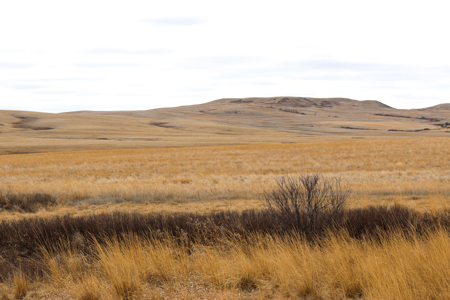 Malcolm Creek Farm | Sheridan County, Montana - image 36