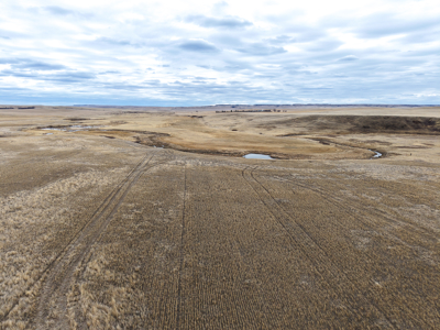 Malcolm Creek Farm | Sheridan County, Montana - image 4