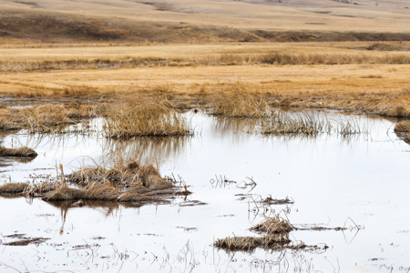 Malcolm Creek Farm | Sheridan County, Montana - image 42