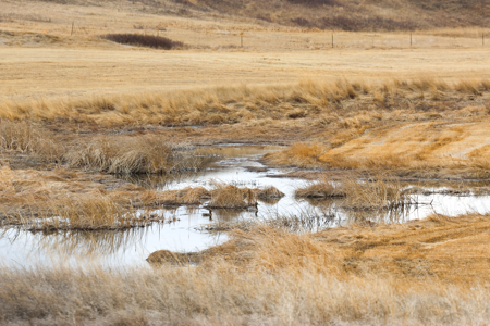 Malcolm Creek Farm | Sheridan County, Montana - image 18