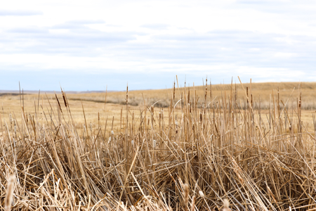 Malcolm Creek Farm | Sheridan County, Montana - image 9