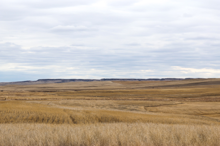 Malcolm Creek Farm | Sheridan County, Montana - image 16