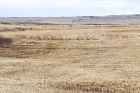 Malcolm Creek Farm | Sheridan County, Montana - image 34