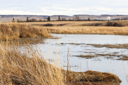 Malcolm Creek Farm | Sheridan County, Montana - image 29