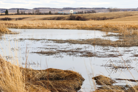 Malcolm Creek Farm | Sheridan County, Montana - image 39