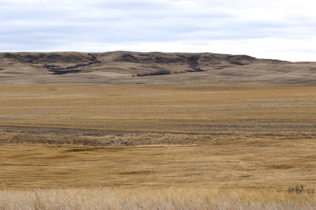 Malcolm Creek Farm | Sheridan County, Montana - image 13